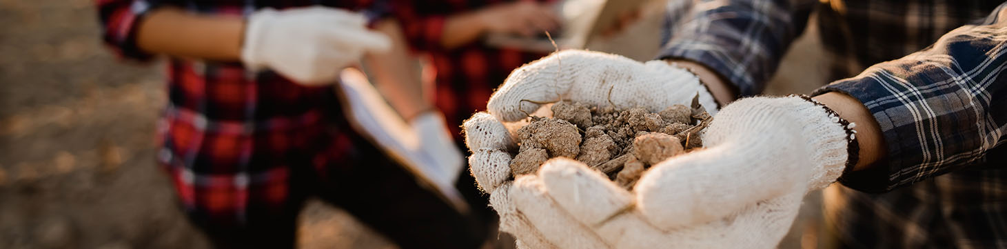 Hands in dirt