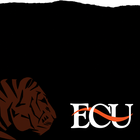ECOK Pre-Footer Logo background
