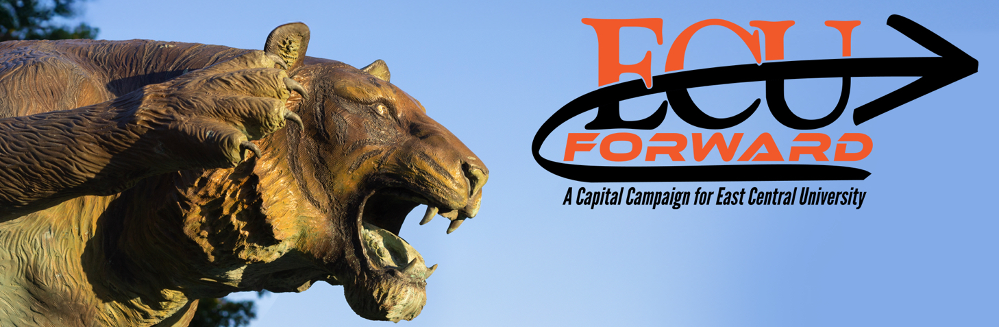 ecu banner
