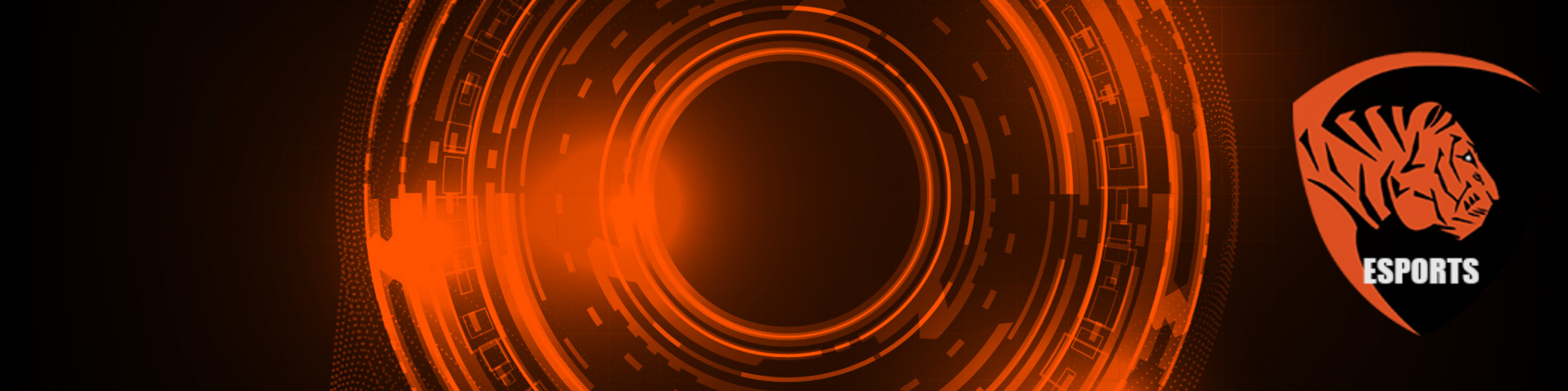 esports banner general