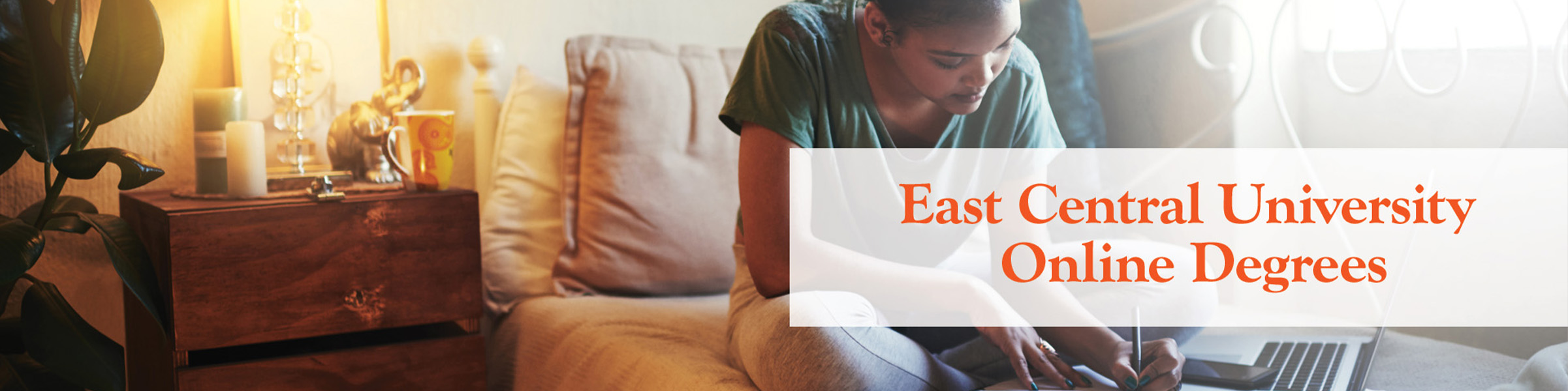 Online degree banner