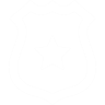 shield icon