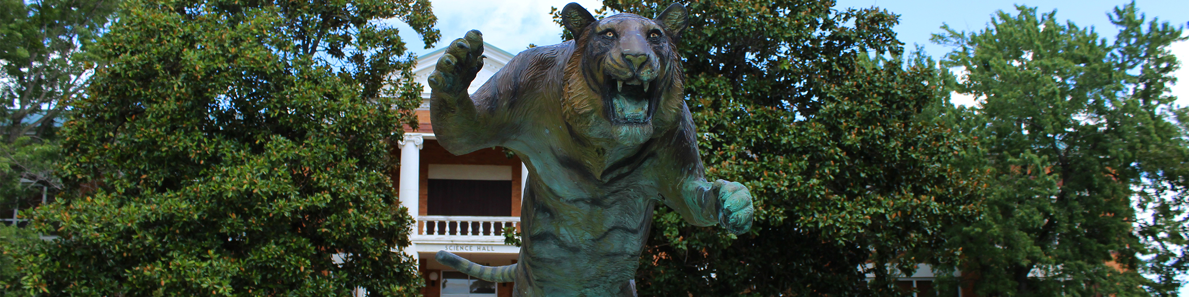 Tiger Fountain