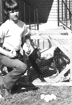 A young Wendell Godwin poses with his family’s Araucana chickens with blue and green eggs.