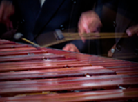 marimba