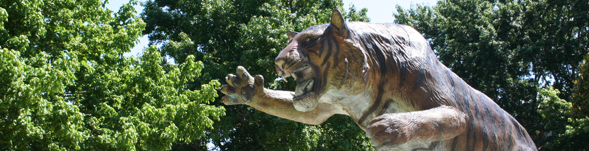 tiger fountain