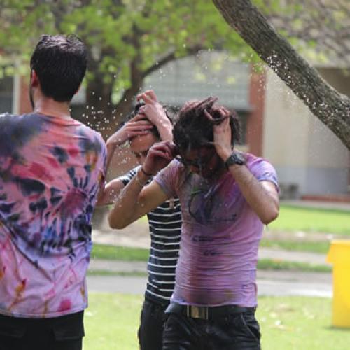 Festival of Colors 04-04-17