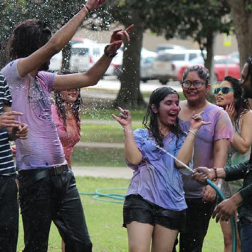 Festival of Colors 04-04-17