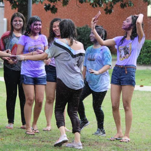 Festival of Colors 04-04-17