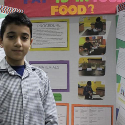 Science Fair Division II Projects 03-31-17