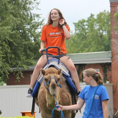 Camel Rides