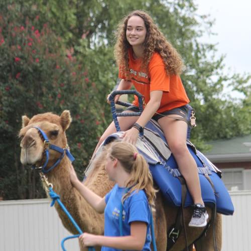 Camel Rides