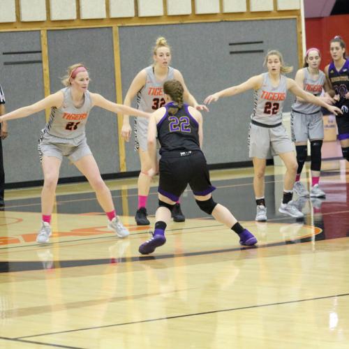 Women's Basketball vs Ouachita Baptist