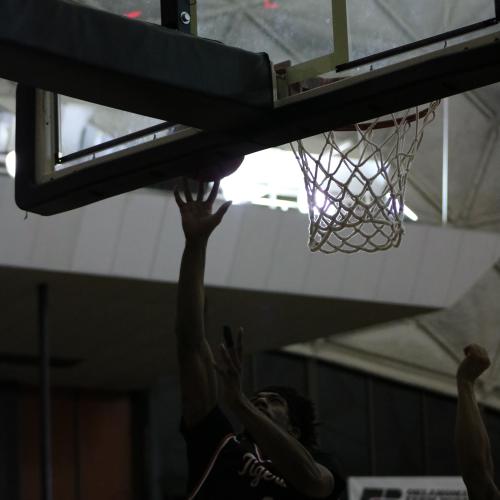 Men's Basketball vs. Southeastern