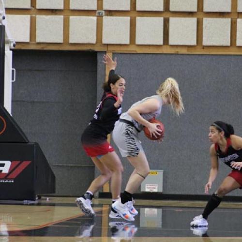 Women's Basketball VS. Northwestern