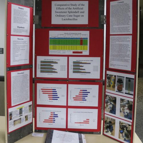 Regional Science Fair