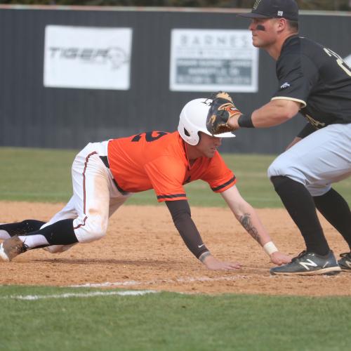 Baseball vs. Harding