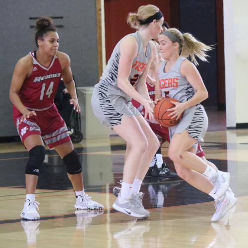 WBB vs. HSU Senior Day