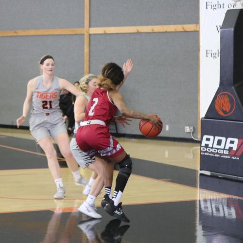 WBB vs. HSU Senior Day