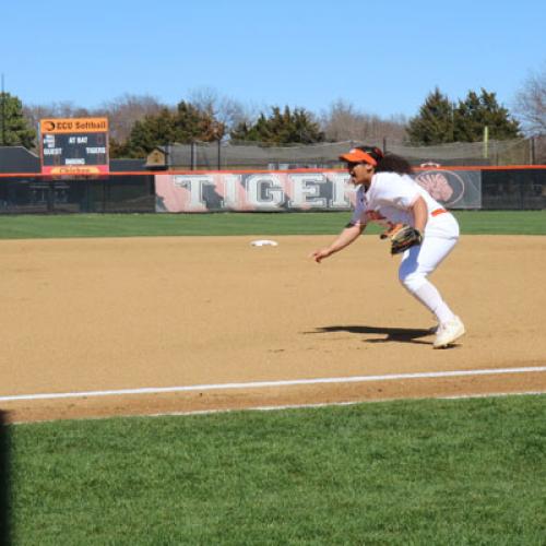 Softball vs. Arkansas Tech