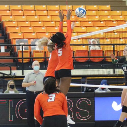 Volleyball vs. OBU