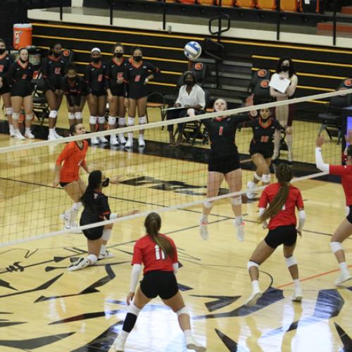 Volleyball vs Northwestern