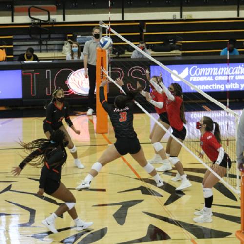 Volleyball vs Northwestern