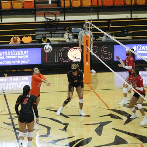 Volleyball vs Northwestern