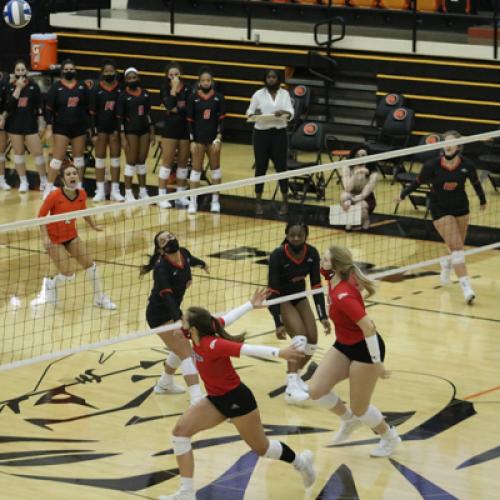 Volleyball vs Northwestern