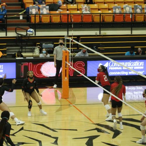 Volleyball vs Northwestern