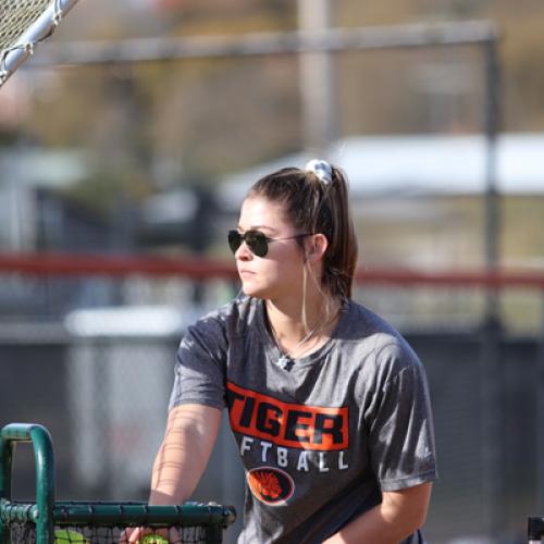 Softball Homerun Derby