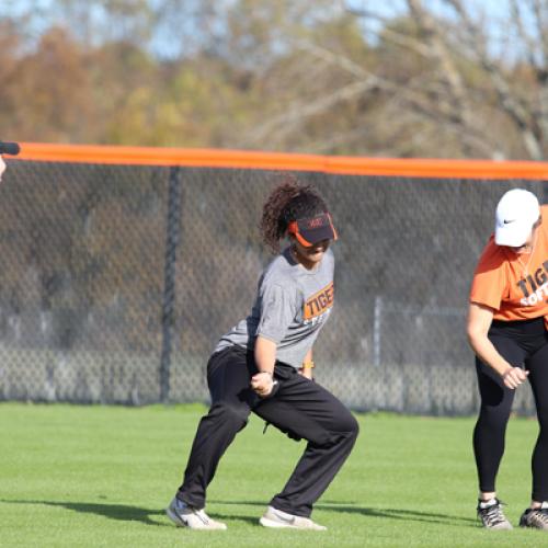 Softball Homerun Derby