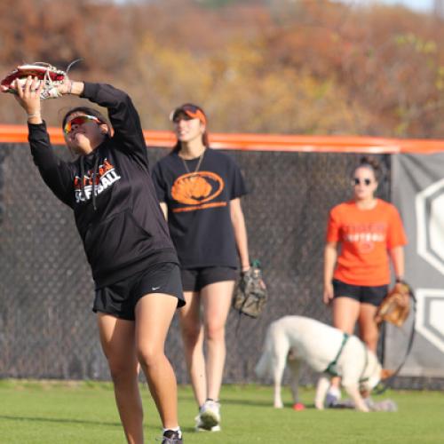 Softball Homerun Derby