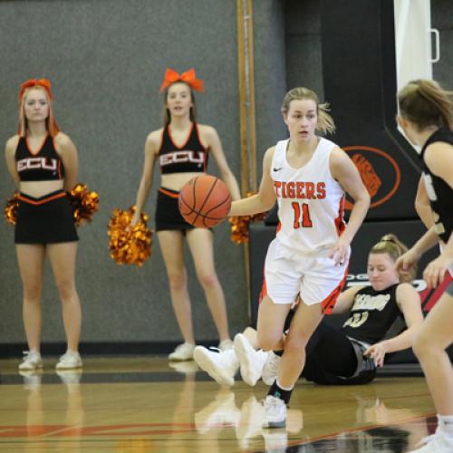 WBB vs Harding (1.29.22)