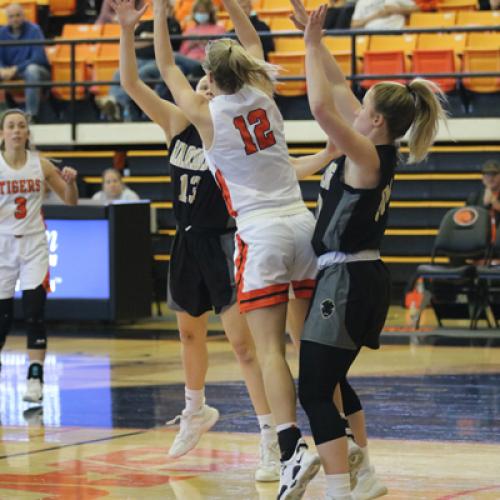 WBB vs Harding (1.29.22)