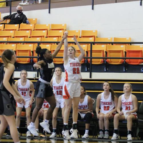 WBB vs Harding (1.29.22)