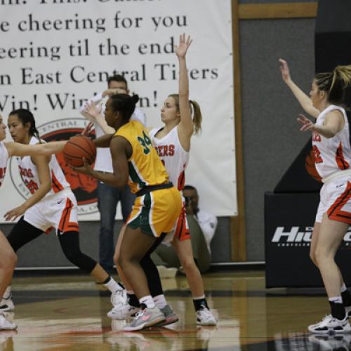 WBB vs Oklahoma Baptist (Senior Night)