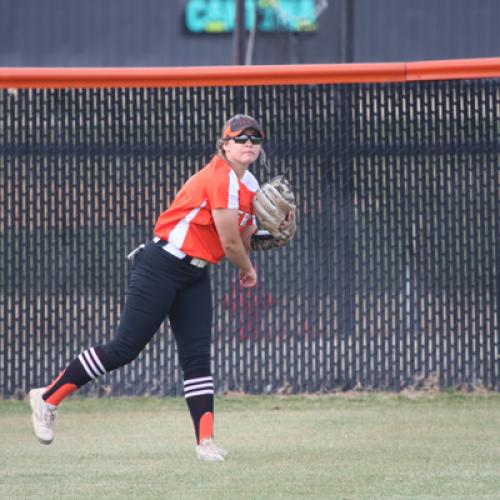 Softball vs Northwestern