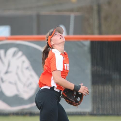 Softball vs Northwestern