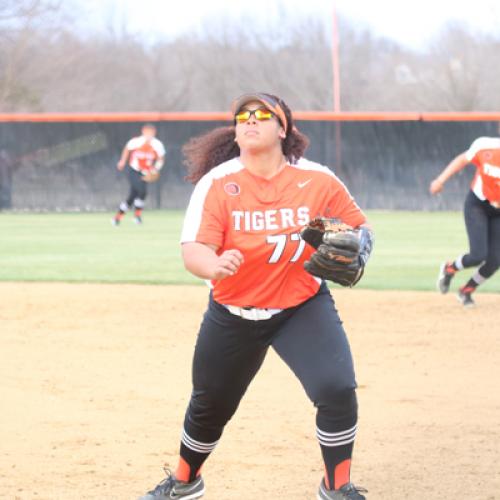 Softball vs Northwestern