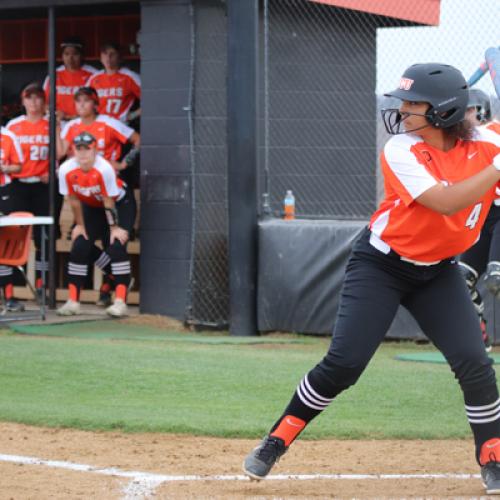 Softball vs Northwestern