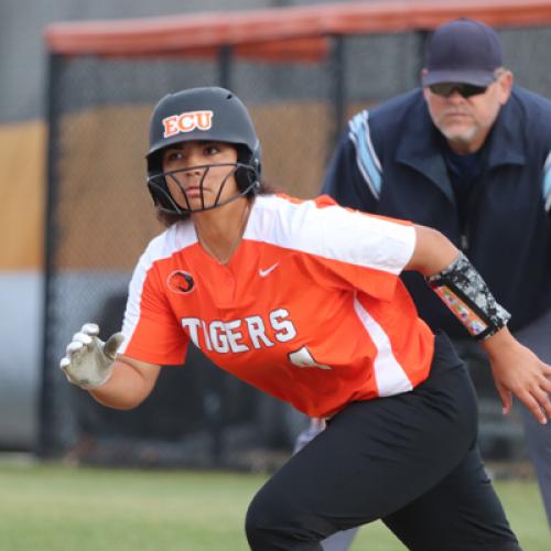 Softball vs Northwestern