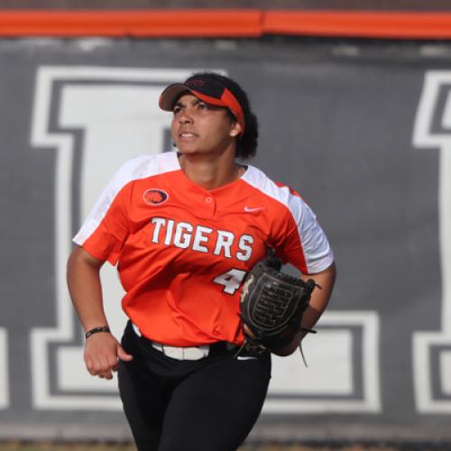 Softball vs Northwestern