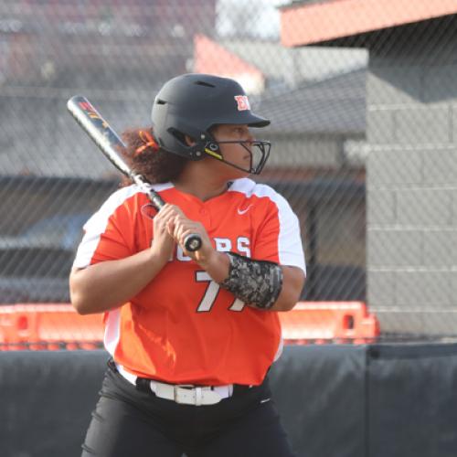 Softball vs Northwestern