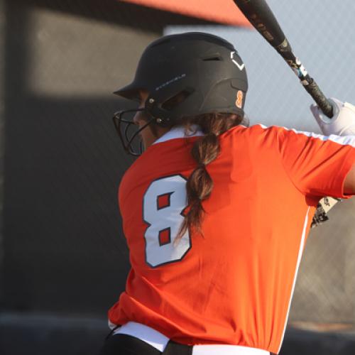 Softball vs Northwestern