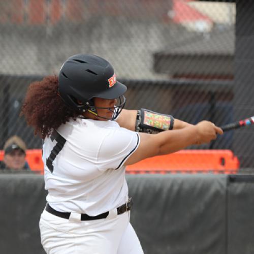 Softball vs Northwestern