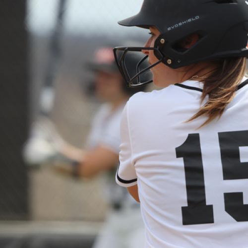 Softball vs Northwestern