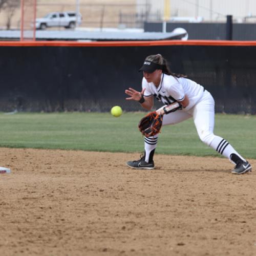 Softball vs Northwestern