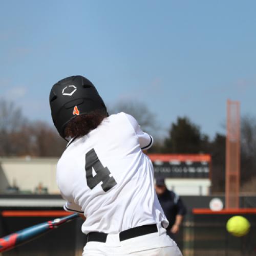 Softball vs Northwestern