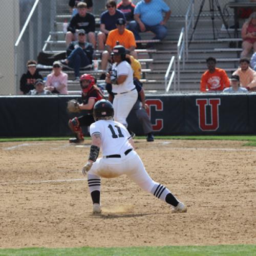 Softball vs Northwestern